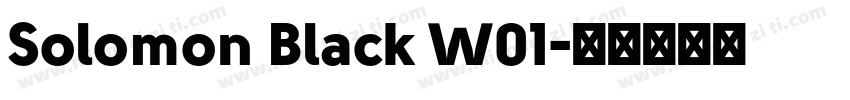 Solomon Black W01字体转换